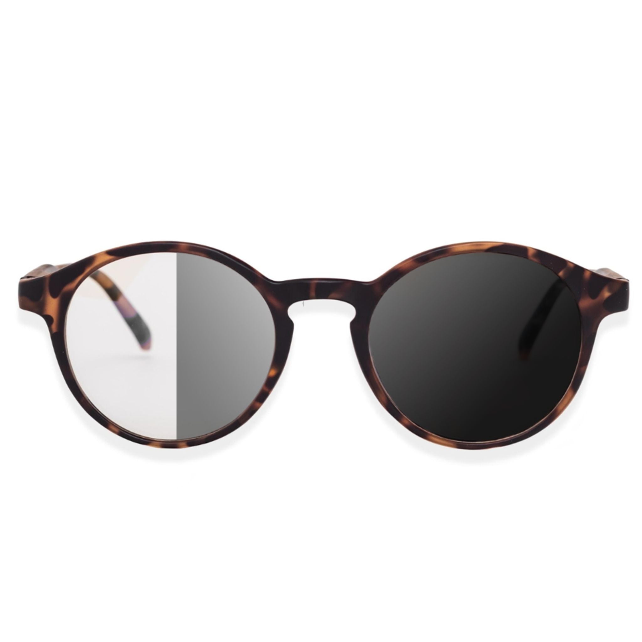 Potter - Matte Tortoise